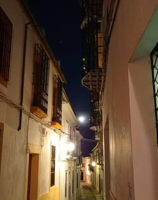 Precioso Loft En El Centro De Cordoba. Apartment Bagian luar foto