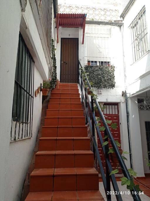 Precioso Loft En El Centro De Cordoba. Apartment Bagian luar foto